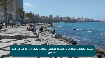 شديد الحرارة.. اضطرابات الملاحة وعظمى القاهرة تصل 37 درجة غدًا في هذه المناطق